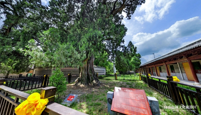 8d5f9989a0c74ada89ca89986cd5e73e~tplv-tt-origin-web_gif